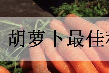 贵州种胡萝卜几月最合适