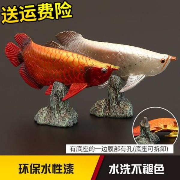巨骨舌鱼和金龙鱼区别