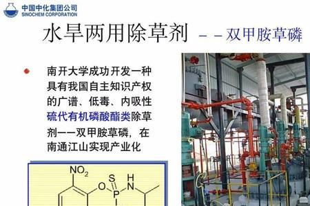 除草剂除单子叶和双子叶的区别