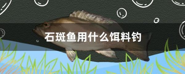 手竿钓珍珠斑最佳饵料