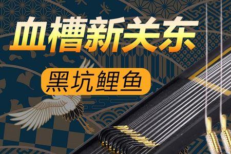 轻飞鲤和玄图哪个好