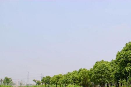 嘉定郊野公园哪个入口比较好