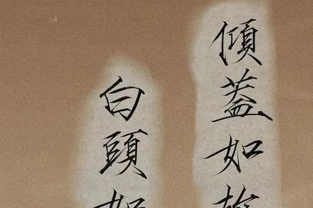 倾盖如故白头如新什么意思