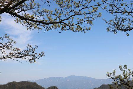 杨山风景区好玩吗