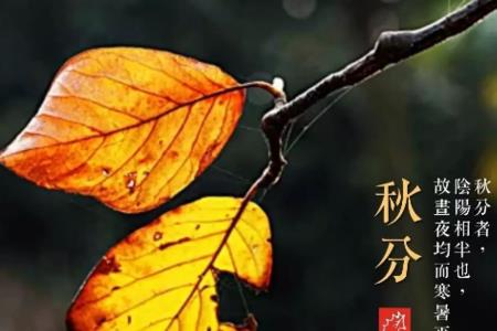 北执南念是什么意思
