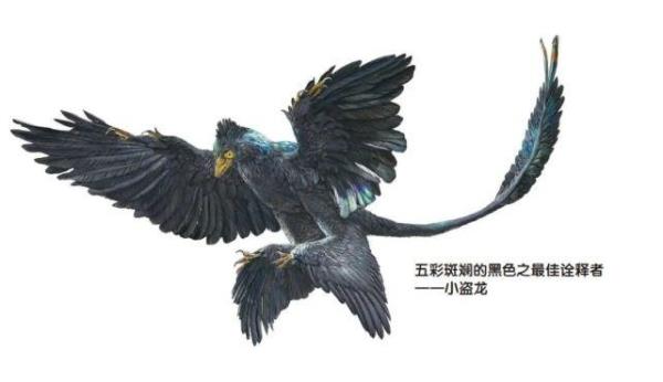 小盗龙灭绝了吗