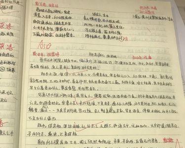 桃花源记多少字除标点