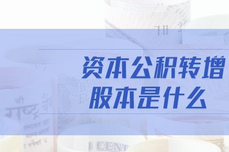 利润转增股本是什么意思