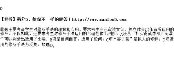 引用是不是修辞手法