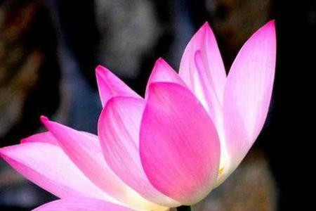 人生难料福与祸是什么意思