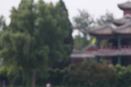 玉渊潭和陶然亭哪个荷花值得看