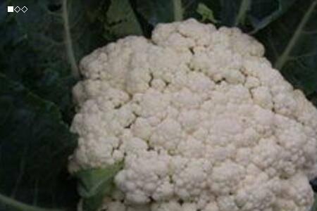松花菜浇水的正确方法