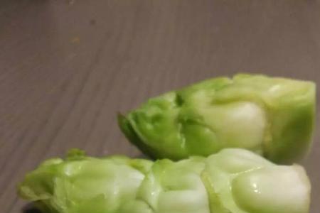 儿菜和芽菜是什么菜
