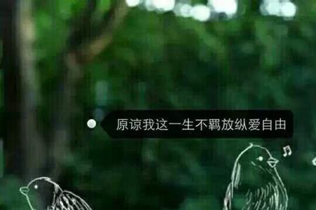 我这一生意思