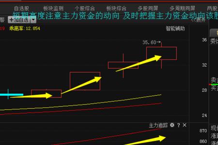 中线资金是什么意思