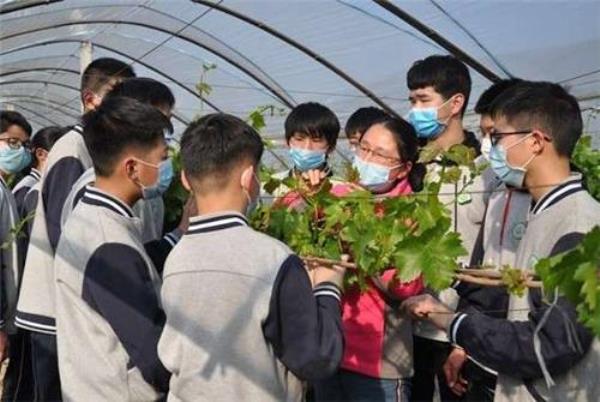实践主体只能是个体的人对不对