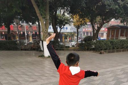 武术除了五步拳还有什么拳