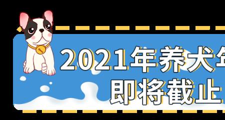 2021北京养犬重点管理区划分
