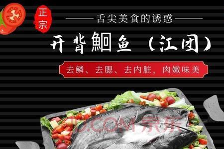 叉尾鮰与海鲈鱼哪个适合做烤鱼