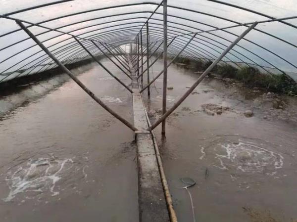 农村养虾能建简易房吗