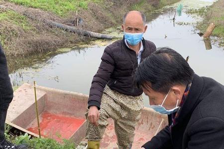 养泡水小龙虾正确投苗技术