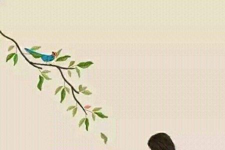 见过远方的人知道什么