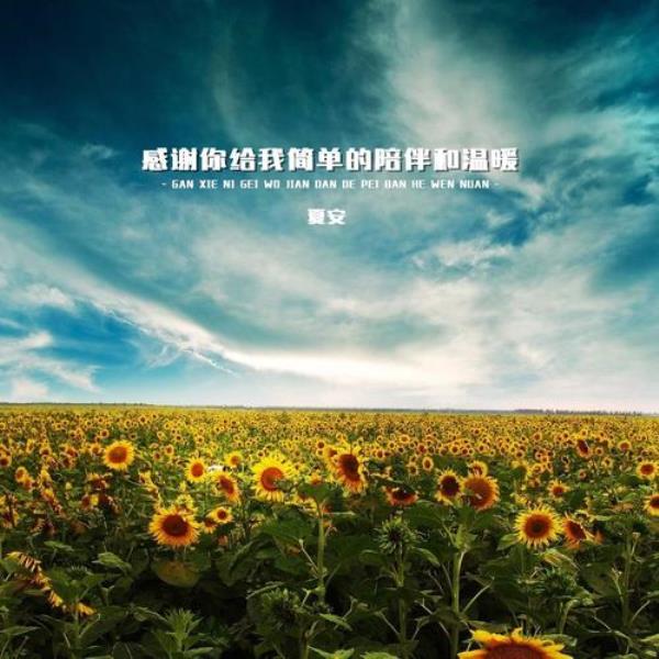 给你简单的陪伴和温暖什么歌