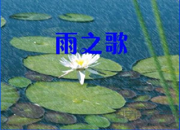 带雨字的爱情诗句有哪些