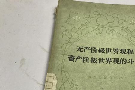 可以写世界观的程序