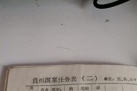 10亩地90年要交多少公粮