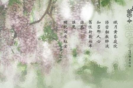 纳兰容若诗词集锦繁体