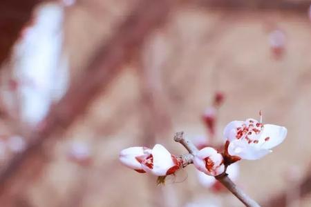 浮风暖翠是什么意思
