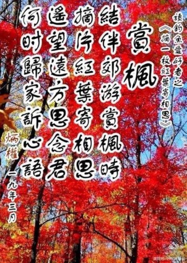 今岁又重阳遥望寄相思的意思