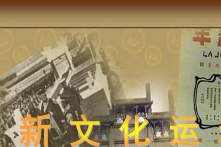 新文化运动的弊端