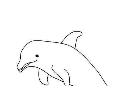 海豚简笔画简单又好看鱼简笔画