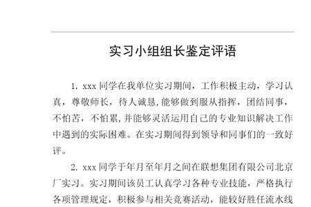 实习小组评语简短20字