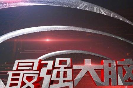 最强大脑停播原因