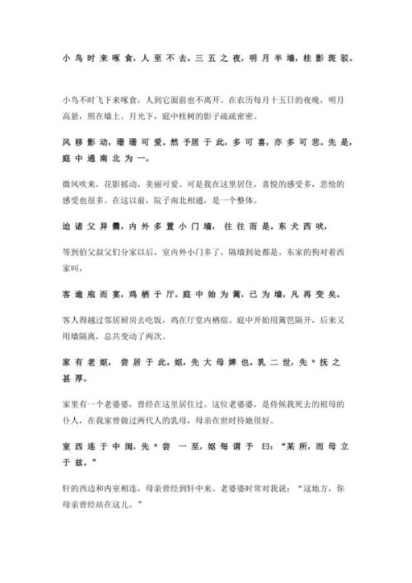 项脊轩志大母什么意思
