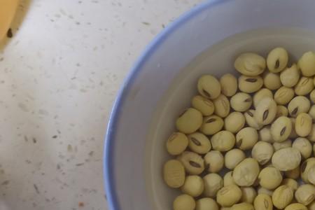 新鲜的黄豆可以不放冰箱保存吗