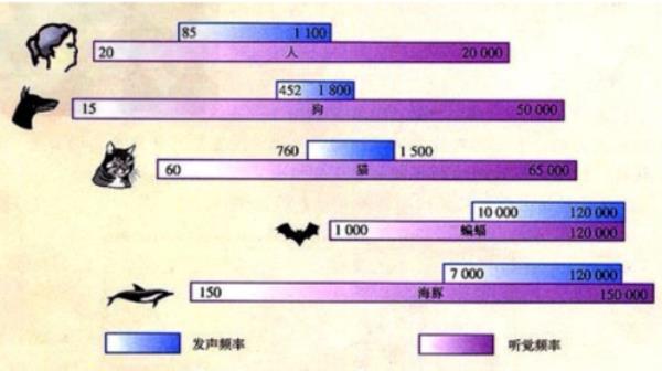 如何测量声音的频率