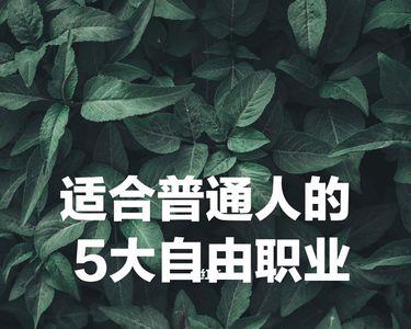 深圳自由职业推荐
