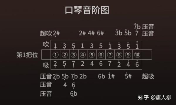 口琴常用的哪几种调