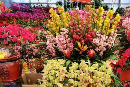 祥和花鸟市场春节营业吗