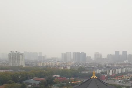 隋唐洛阳国家遗址公园游玩时间