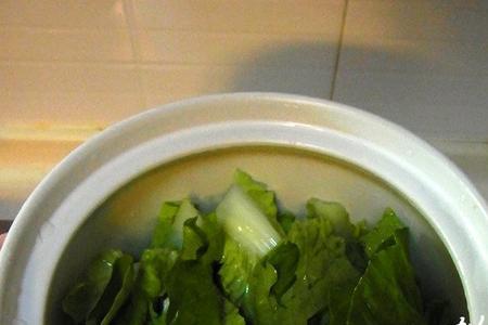 汤白菜种植方法