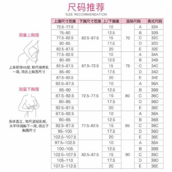 如何测量内衣尺寸