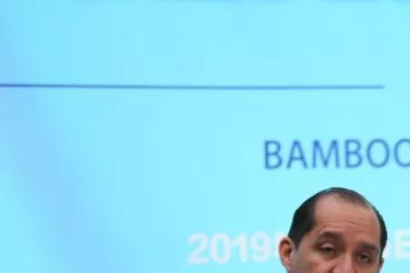 国际竹藤组织是什么级别