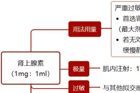 去甲肾上腺素的储存条件
