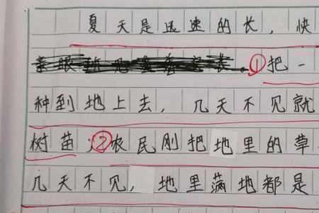 夏天的傍晚,怎样的热闹呢仿写