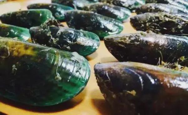 长在岩石缝里的青口怎么挖